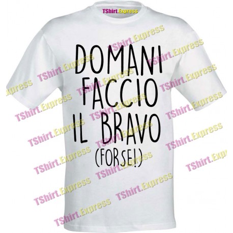 Domani faccio il bravo (forse!)